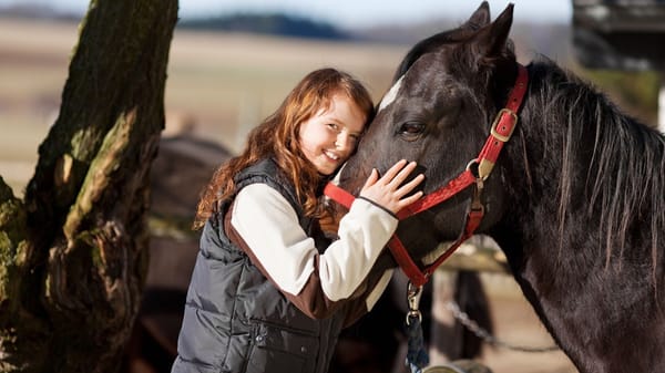 Pony Pals