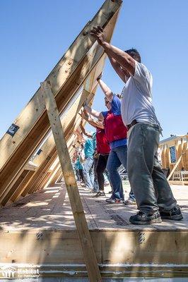 Raising the walls on another Habitat home. Future home owners working on sweat equity hours helping to build their home alongside volunteers