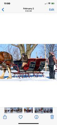 Clydesdale drawn sleigh