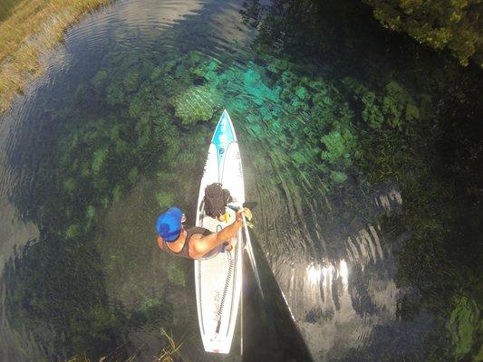 Paddling at Rainbow Springs.