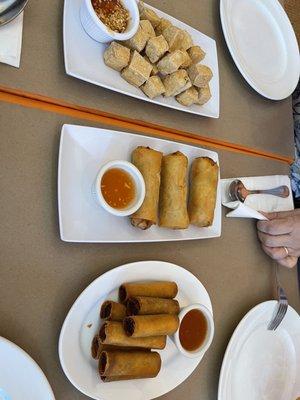 Fried Tofu, Vegetable Spring Rolls, Lumpiang Shanghai