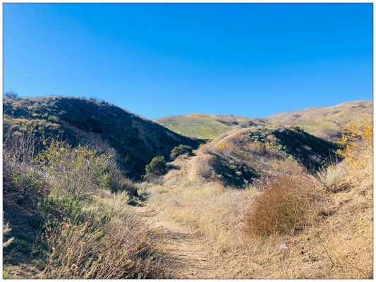 I chose the Nature trail. This was just the beginning.