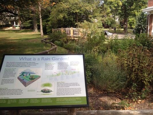 It has its own rain garden. Now I totally want one.