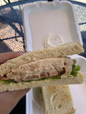 tuna melt