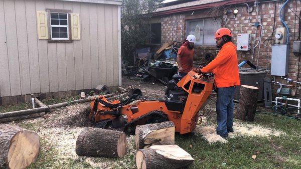 Stump Removal