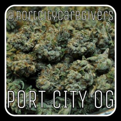 Port City OG, a classic staple in our stock room.