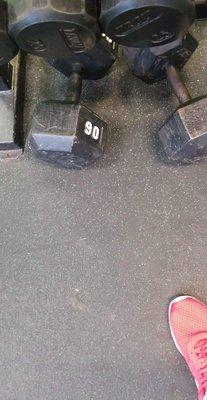 Dumbbells (1st floor gym)