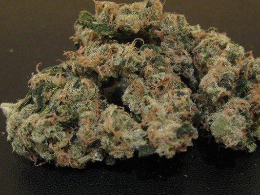 Agent Orange / Sativa