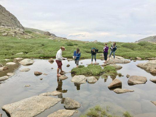 Students identify aquatic plants in this small alpine lake.