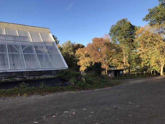 Natick Community Organic Farm