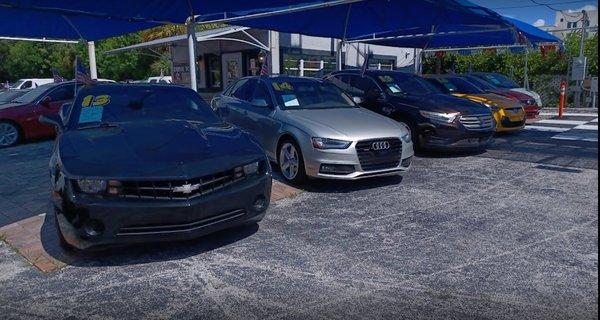 Best vehicles, makes and models in South Florida.
Sports, Sedans, SUV's, Trucks and Work Vans.