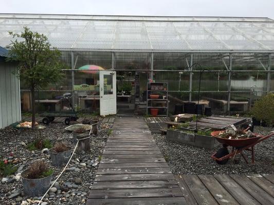 Fireweed Herb Garden 