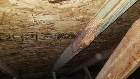 Left the broken jagged trusses in the attic.