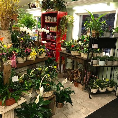 We have a wide selection of flowers, plants, plant gardens and orchids.