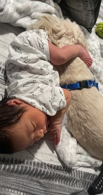 New baby and my dog