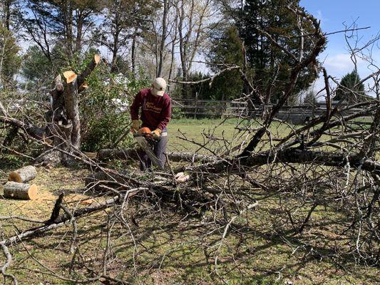 Clearing downed trees and junk removal services