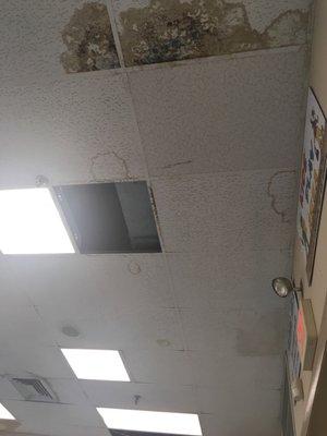 Ceiling falling apart, water damage