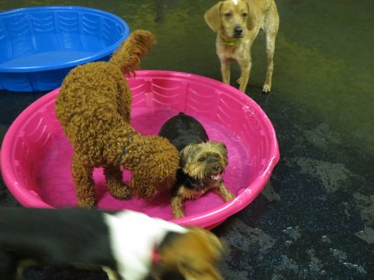 Pool Party!