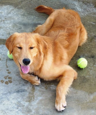 Relaxing Between Balls in Daycare