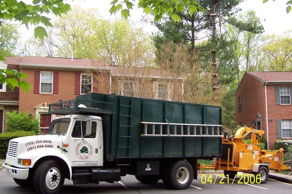 Economy Tree Care