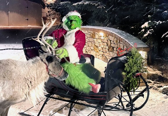 We offer the Grinch and reindeer!