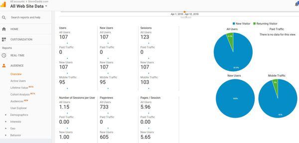 LOOK AT THIS Two Weeks in Google Analytics PROVES our winning concepts and strategies work.  733 Page Views in two weeks!!