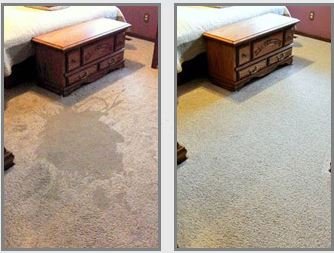 The Allen Carpet Cleaning