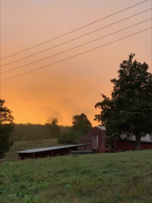 Potomac Equine Services