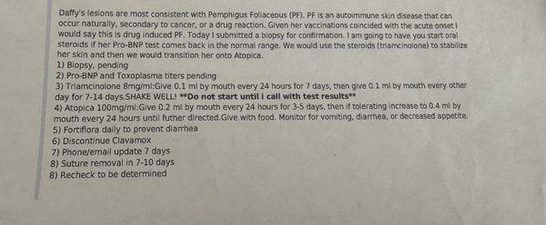 The Diagnosis from the dermatology specialist