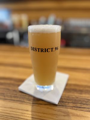 Filibuster IPA