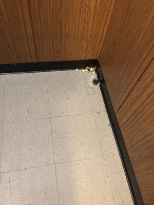 Trash in elevators