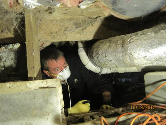 A proper inspection of a crawl space