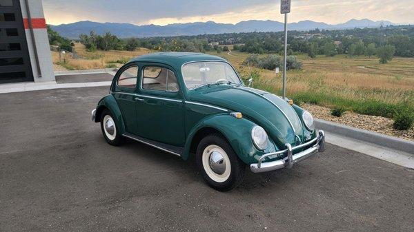 Fully restored 60s Vw Bug.
Paint correction and 9 month paint sealant