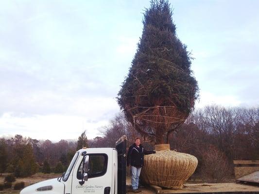 Country Gardens Nursery