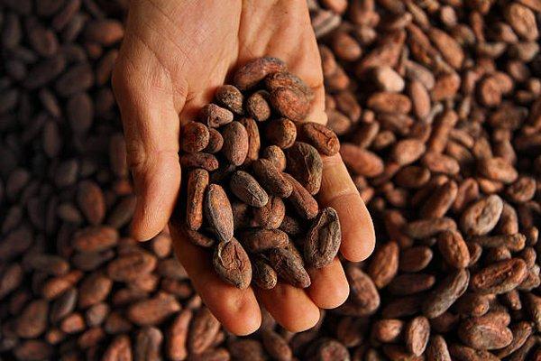 We use organic original DNA cacao beans for Ecuador in our chocolate for superior taste and aroma. We localy manufacturing in Houston!