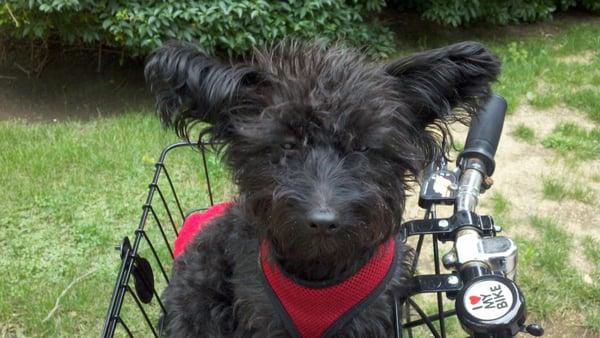 Robbie and Dr G bike riding!