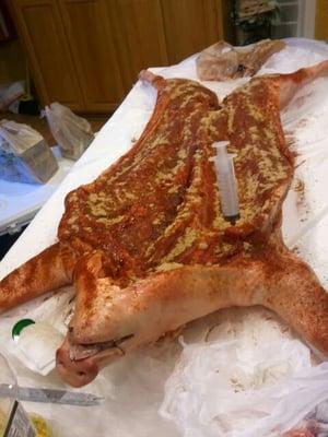 A lot of our old time secret ingredients goes in to the prepping of a whole hog.