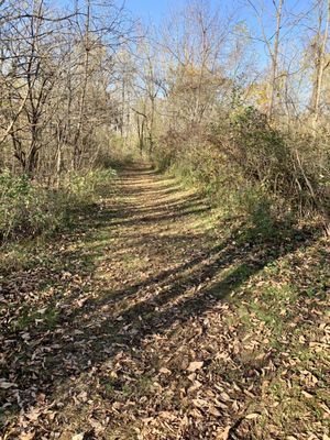 Cliffside Park Campground