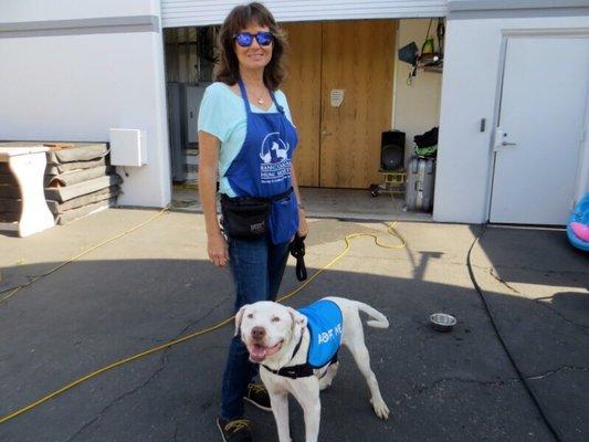 Rancho Coastal dogs go to Fox News station every week and become tv stars.