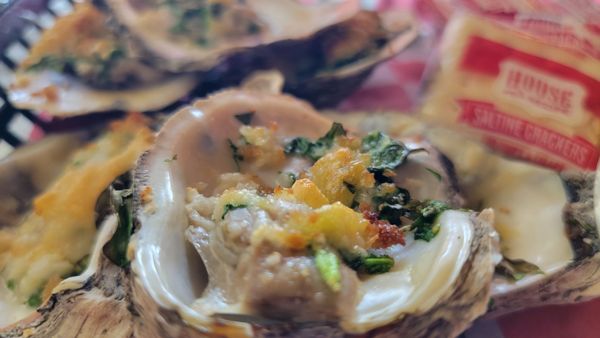 Baked Rockefeller Oysters