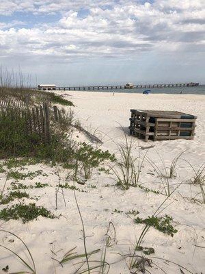 Dunes and pier