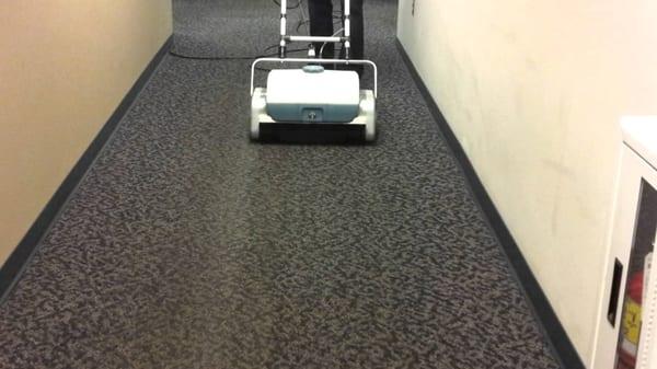 Phase 2 Lombard Carpet Cleaning Services