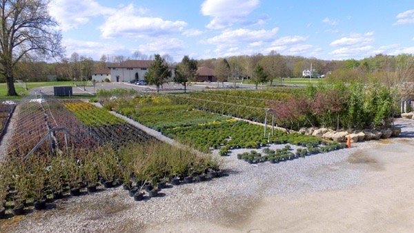 Cerbo's Hampton Nursery