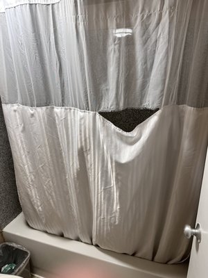 Ripped shower curtain