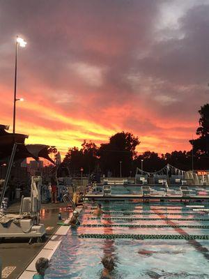 Belmont Plaza Olympic Pool