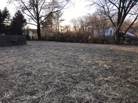 Finished product after a septic system installation. Power raked, seeded and straw overlay.