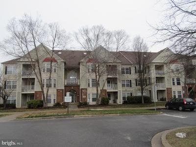 18801 Sparkling Water Drive #8-304 Germantown, MD 20874 2 beds, 2 baths | Single Family Home  1,394 sq ft