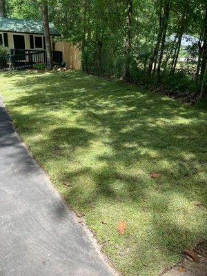 Sod installation