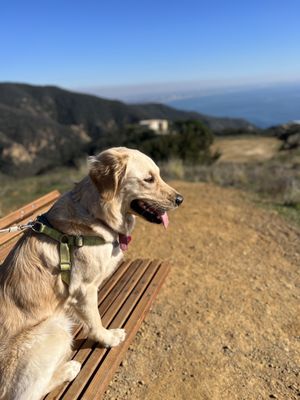 Tuna Canyon Park