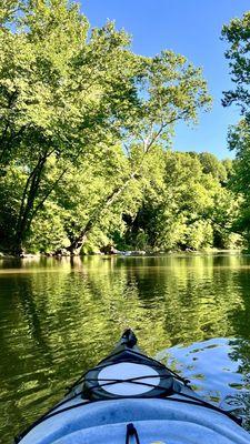 Wildcat Canoe and Kayak Too